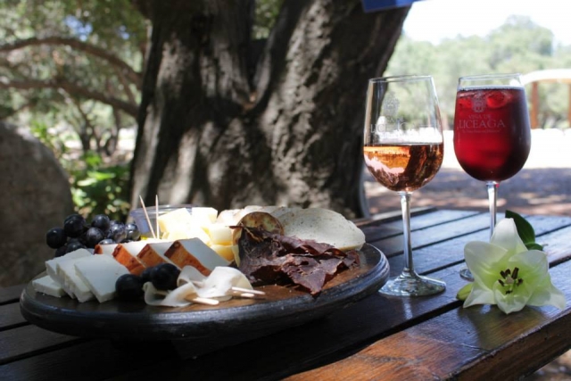Vino y tapas